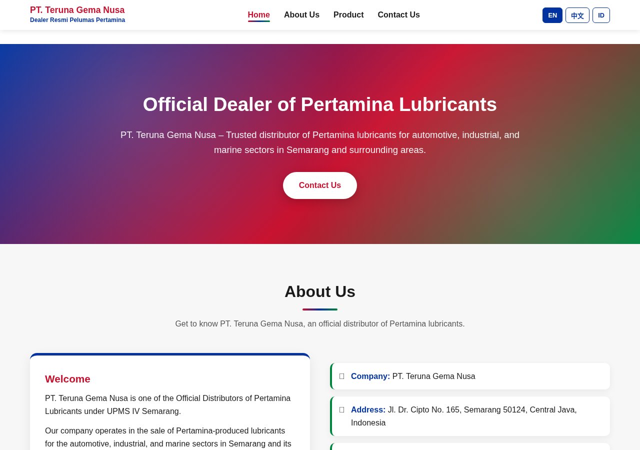 Portofolio jasa buat website murah — tampilan website PT Teruna Gema Nusa